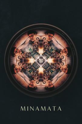 Nomadland stream