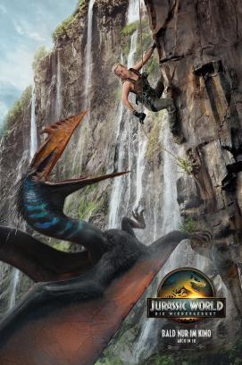 Nomadland stream